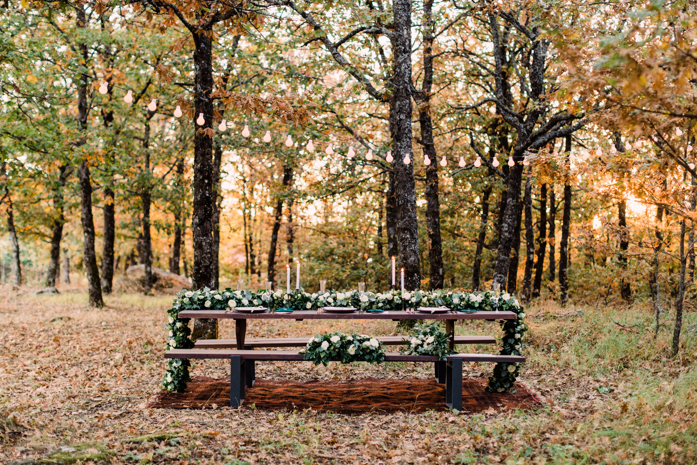 A magical table set-up into the woods